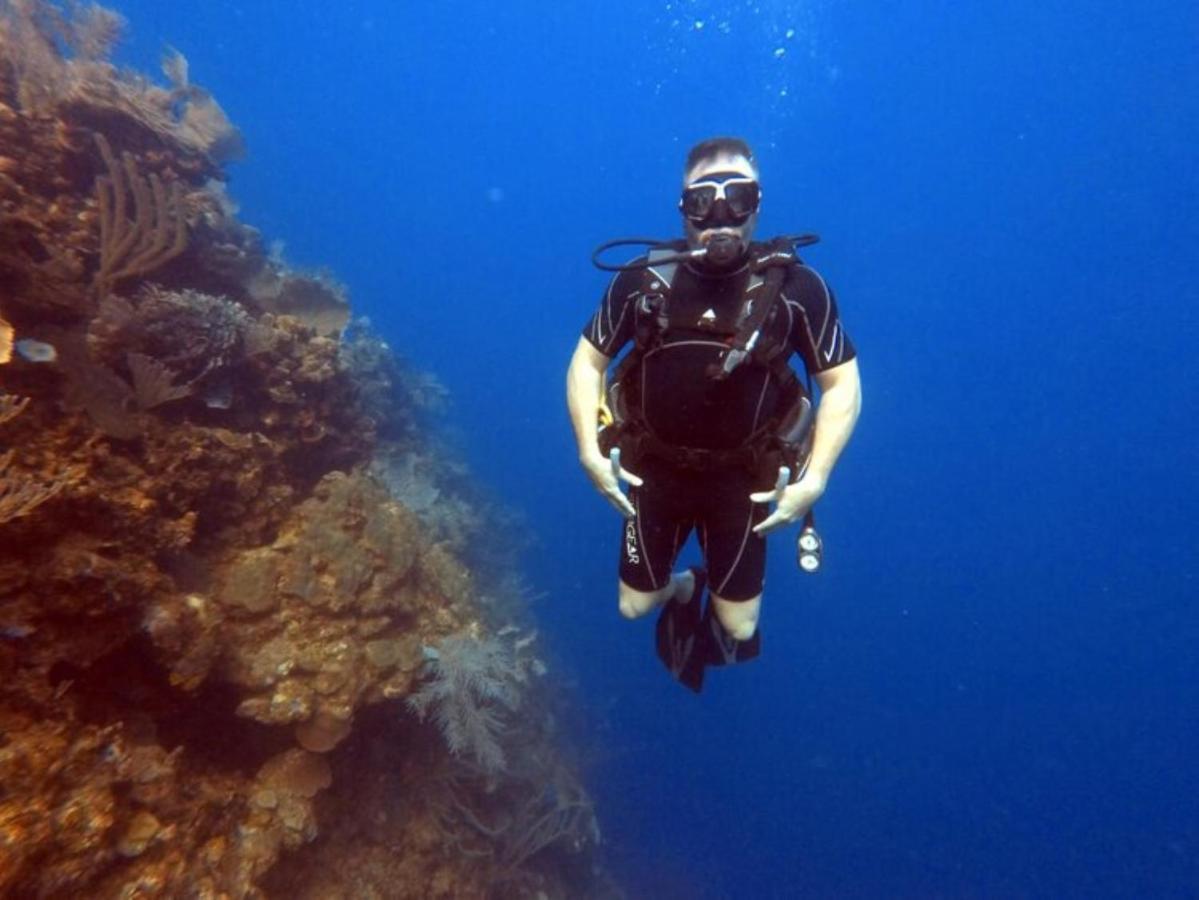 Hotel And Dive Center Roatan Yacht Club French Harbour Extérieur photo
