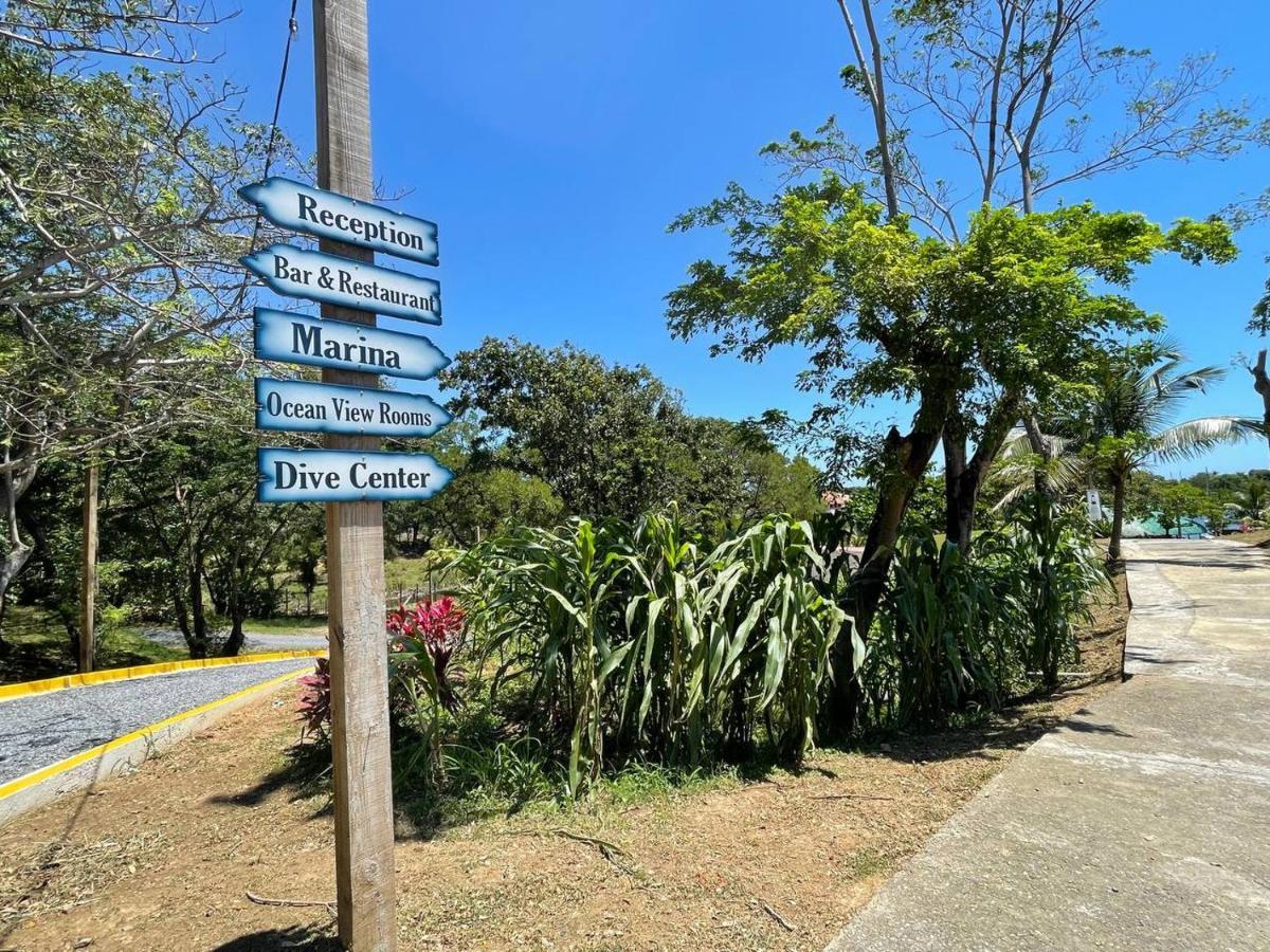 Hotel And Dive Center Roatan Yacht Club French Harbour Extérieur photo